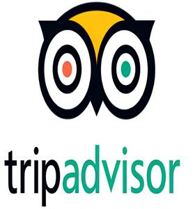 Trip Adviser
